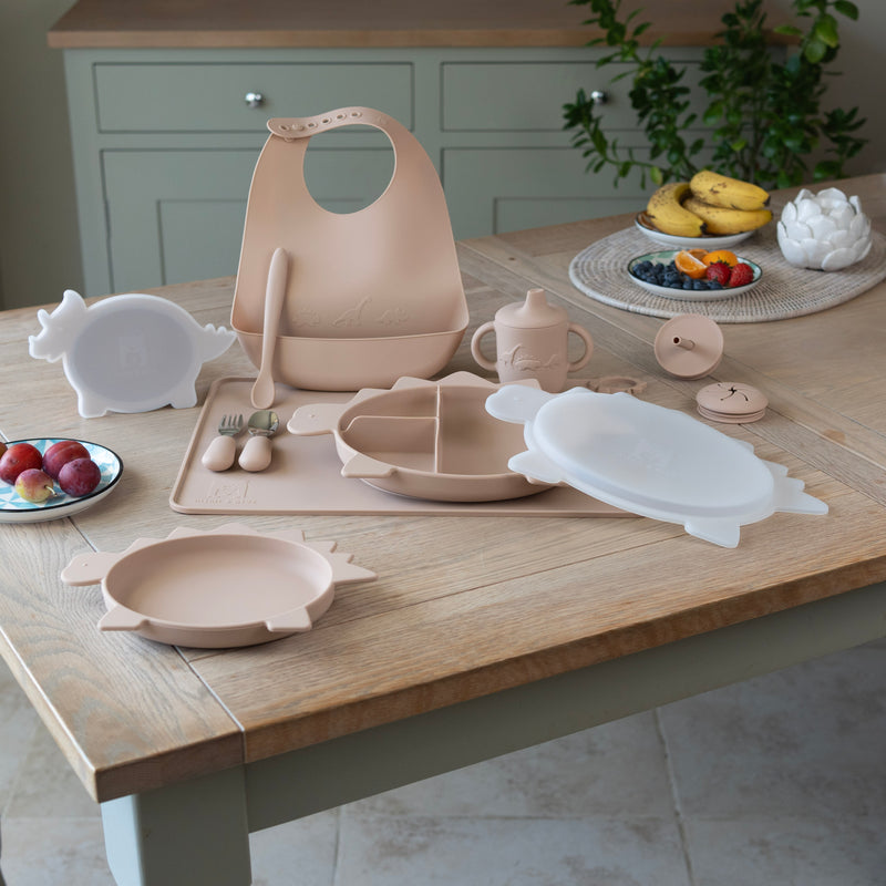 Dinosaur Tableware Weaning Set