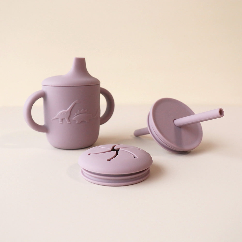 toddler dinosaur sippy cup hushed plumb